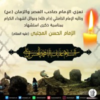 شهادات الأئمة 